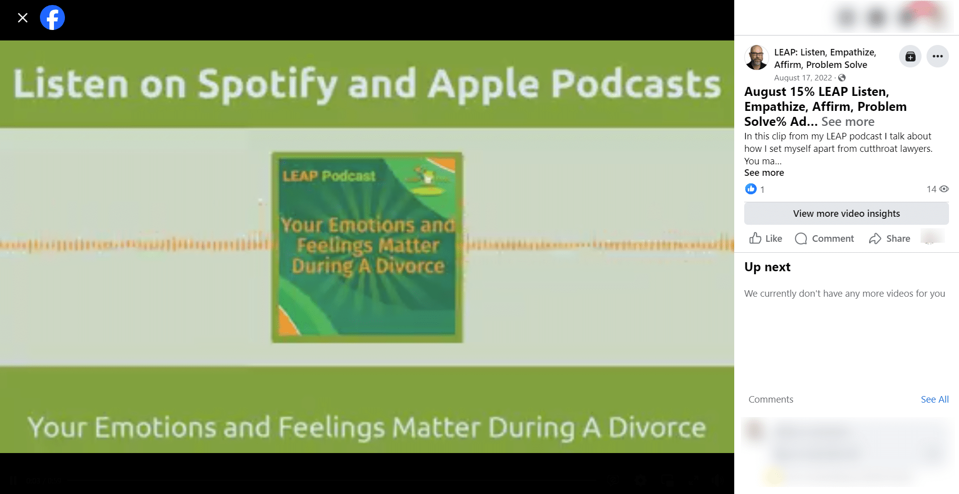 Leap Frog Divorce Podcast screen shot